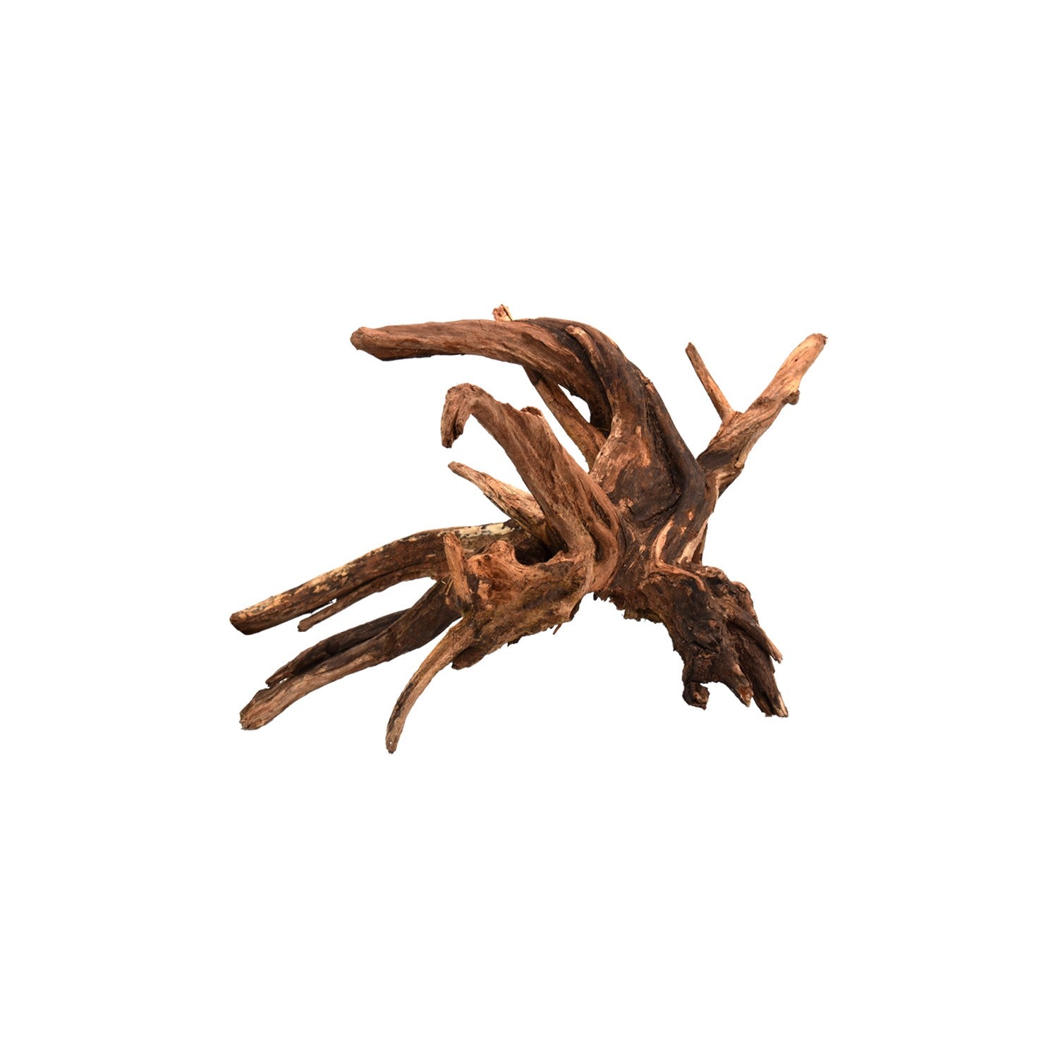 AQPET Legno Naturale Drift Wood Medium AQPET Legno Naturale Drift Wood Medium